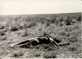 The death of Guek Ngundeng, 8 February 1929 (Coriat’s photos, Pitt-Rivers Museum)