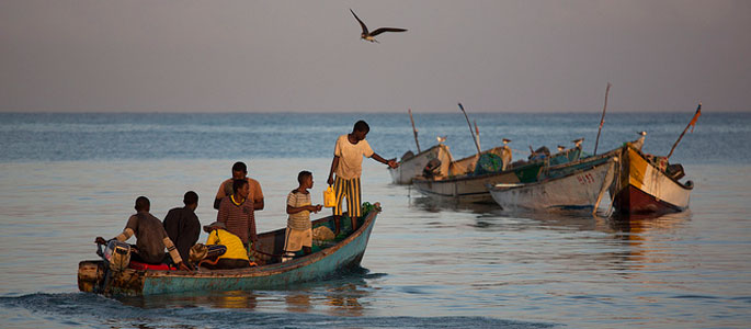 People wait for fishermen to arrive with the catch of the day at the Bosaso harbor in Puntland, Somalia (Adeso/Karel Prinsloo)
