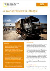 A Year of Protests in Ethiopia