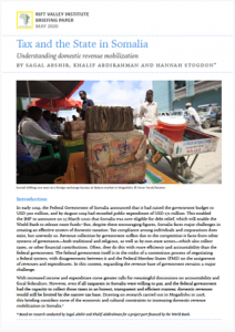 Tax and the State in Somalia: Understanding domestic revenue mobilization